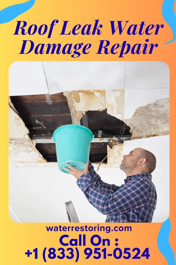 Roof Leak Water Damage Repair in Cimarron, KS